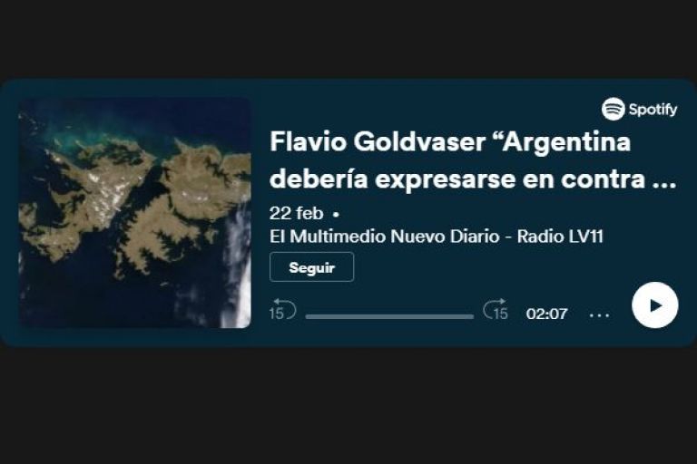 Flavio Goldvaser “Argentina debería expresarse en contra de la invasión rusa”