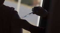 Aprobaron el inicio de Fase 1 para la vacuna argentina contra el coronavirus