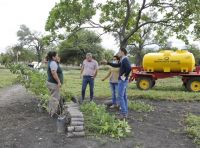 Inició la colocación de 132 árboles en la ciudad de Fernández