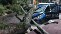 Fuerte temporal en el AMBA: árboles caídos, techos destrozados y autos dañados
