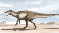 Hallan en Argentina restos de un gigante megarraptor, el más grande encontrado hasta el momento