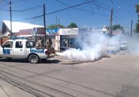 La Municipalidad dio a conocer la continuidad de su programa de fumigaciones